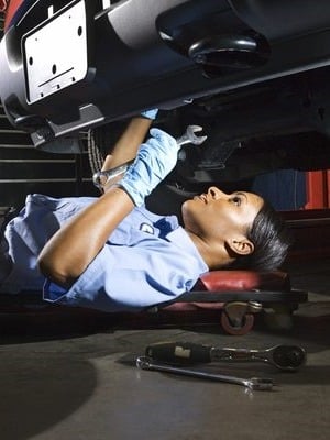 Mechanic WordPress theme team member 